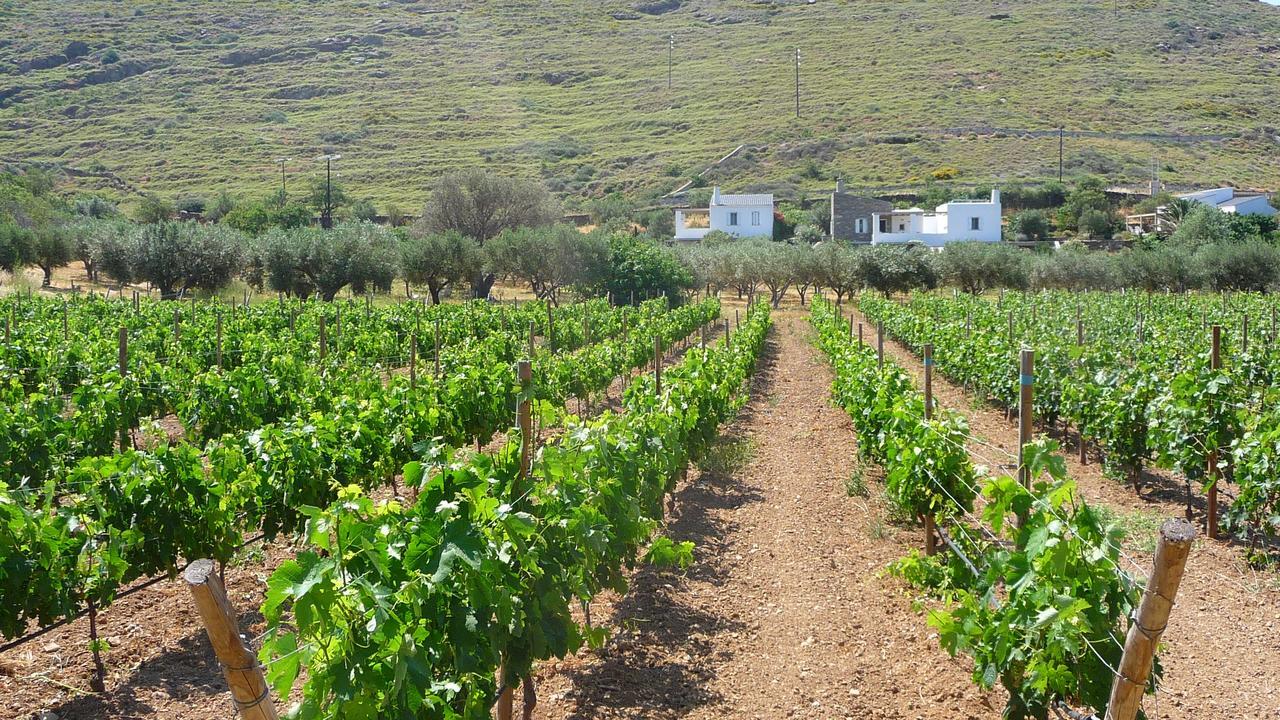 Red Tractor Farm Vila Korissia  Exterior foto